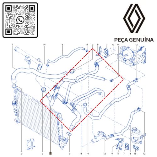 RN 18527R-O 215039185R MANGUEIRA INF. DO RADIADOR DUSTER 2.0 16V F4R imp 7
